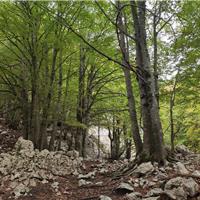 24F - Circolo glaciale del Fondacone