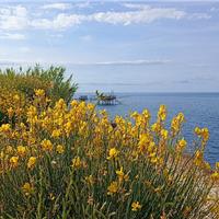 24I - Costa dei Trabocchi