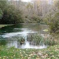 22B - Lungo il fiume Tirino
