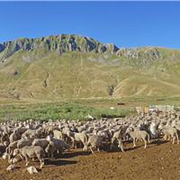 23E - Monte Gallinola