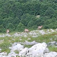 25D - Mainarde, Monte Marrone, Monte Mare