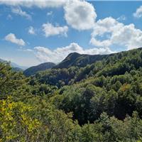26N - Nel cuore del Parco Nazionale d’Abruzzo, Lazio e Molise
