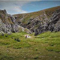26M - Anello Campo Imperatore