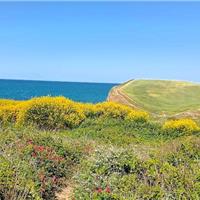 26B - Fossacesia Marina - Punta Aderci